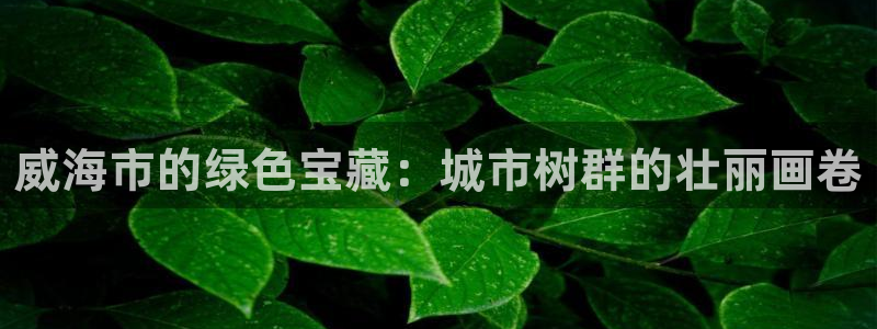 摩根娱乐宝是什么意思