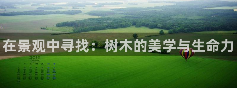 摩根娱乐宝注册