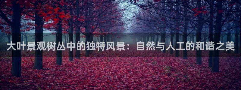 义乌摩根娱乐消费多少