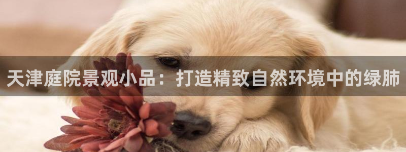 摩根娱乐宝怎么赚钱的