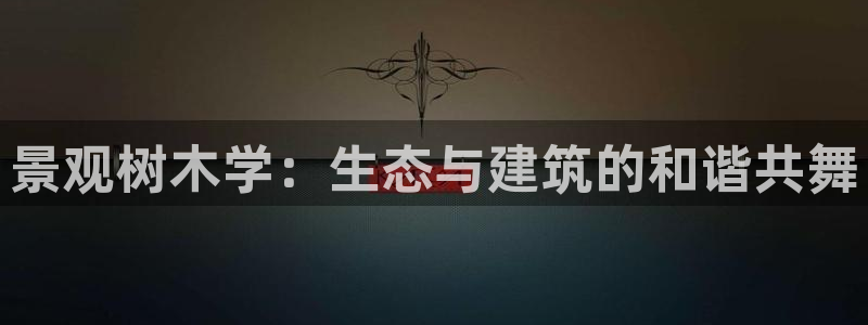 泉州摩根会娱乐有限责任公司管理