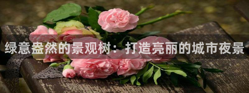 摩根娱乐官网下载