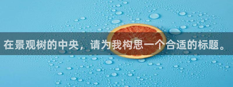 摩根娱乐宝秒单