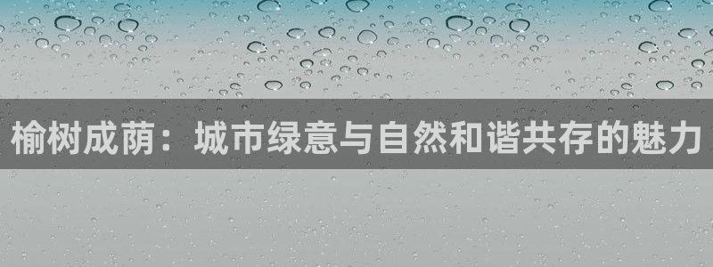 摩根娱乐宝老上不去啊