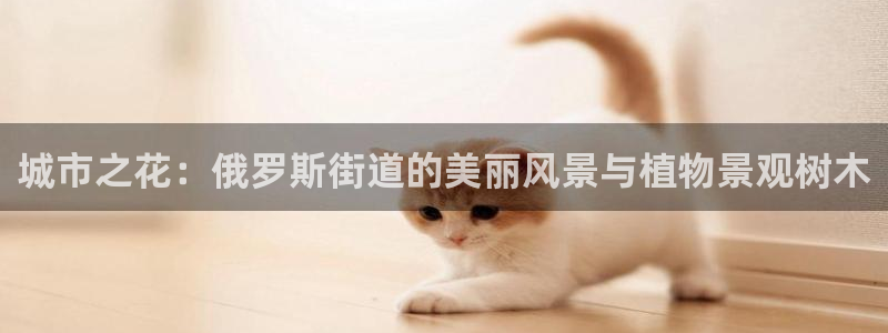 摩根娱乐云挂机项目