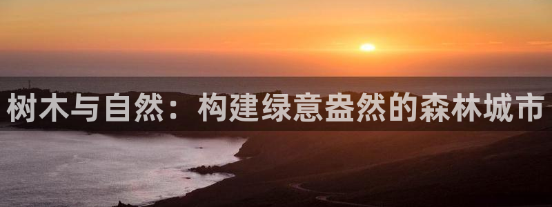 微信里面摩根娱乐宝