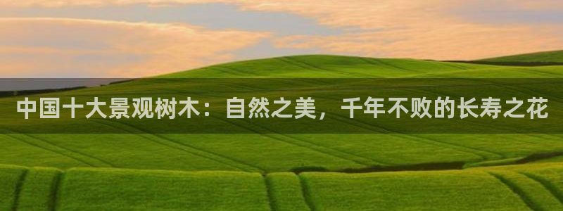 摩根娱乐百家号