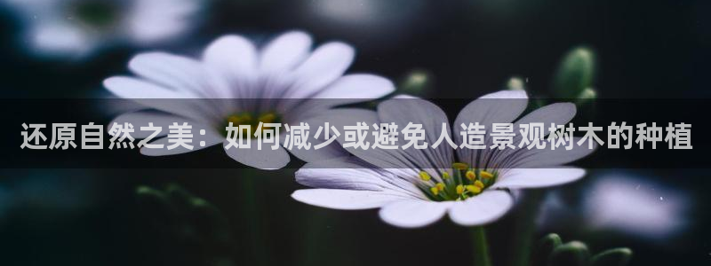 泉州摩根娱乐会所