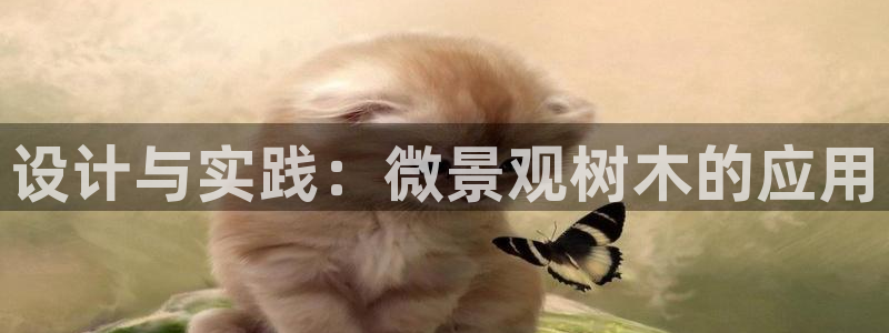 摩根 娱乐宝骗了我