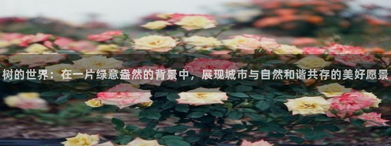 摩根国际娱乐会所