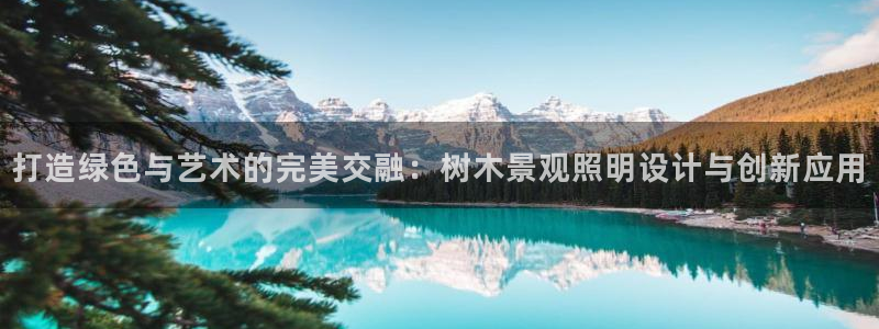 摩根娱乐开户总s管50015 18