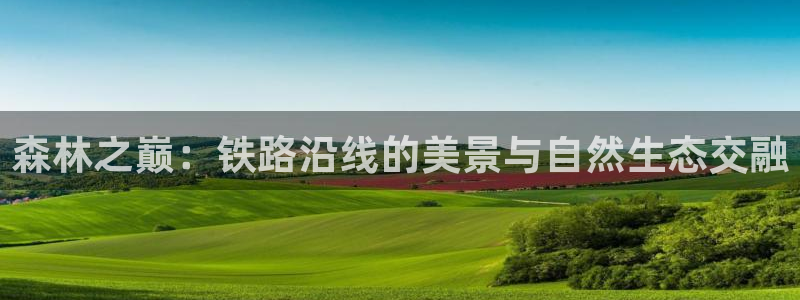 摩根国际娱乐宝