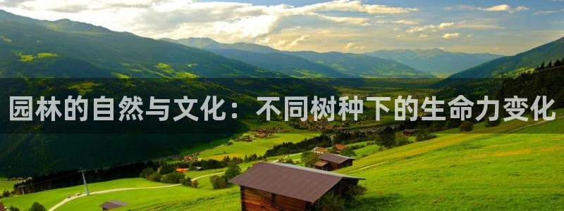 摩根国际娱乐宝