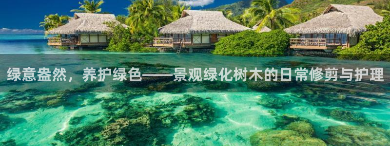 泉州摩根会娱乐会所地址