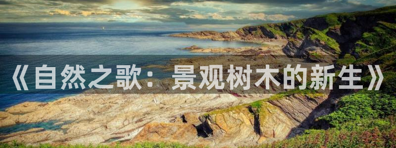 摩根娱乐套路