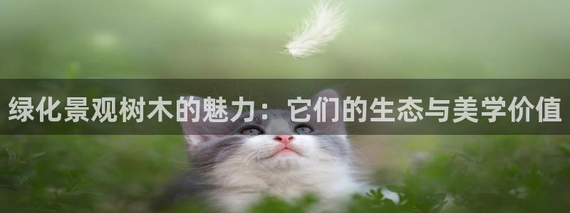 摩根娱乐云挂机项目