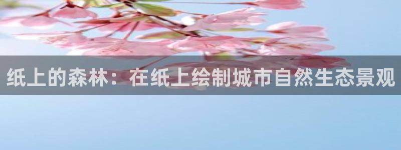 摩根娱乐文化有限公司