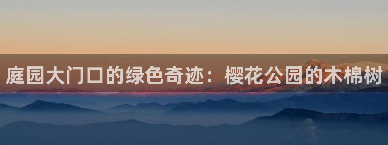 摩根娱乐宝怎么下载