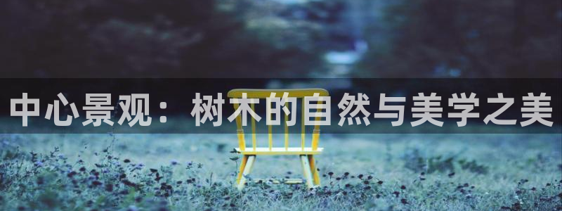 摩根娱乐¤股s东50015