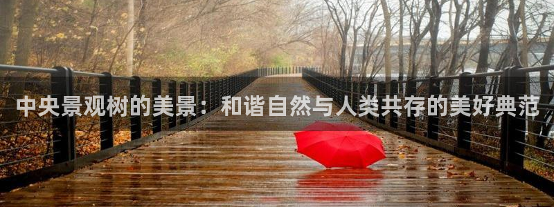 玩摩根娱乐宝亏了三千