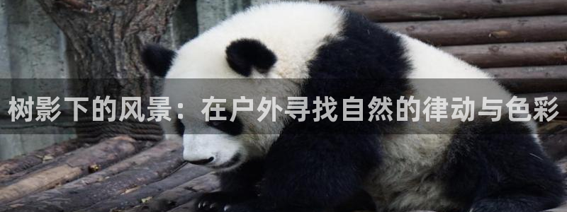 摩根娱乐宝是骗局吗