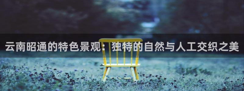 义务摩根娱乐会所
