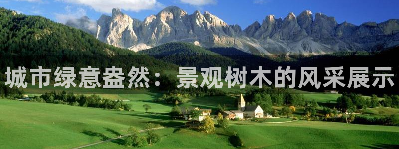 摩根娱乐 c招a商77130