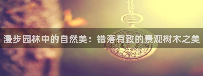 摩根娱乐总部在哪里