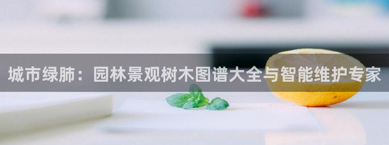 摩根娱乐会所电话