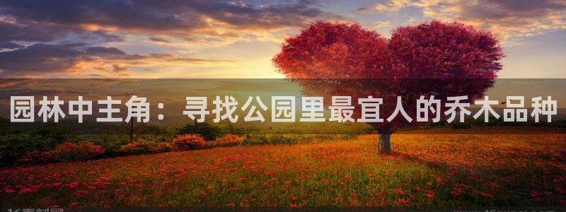 摩根娱乐宝吧
