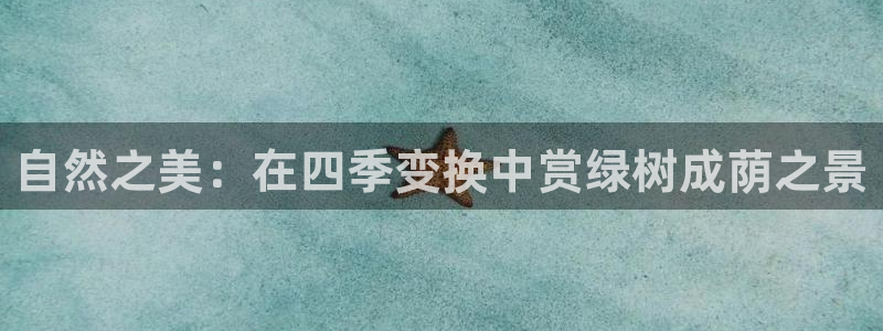 摩根国际娱乐宝官网