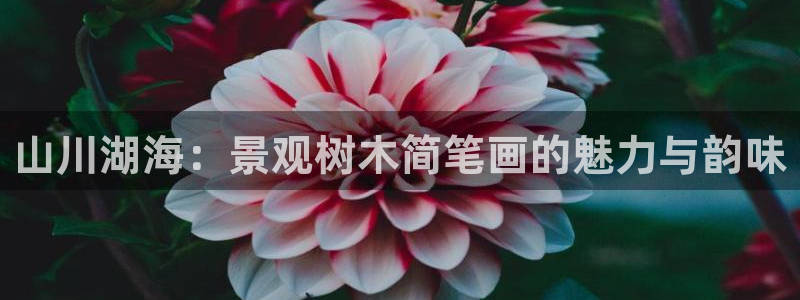 摩根大通收购娱乐公司:山川湖海:景观树木简笔画的魅力与韵味