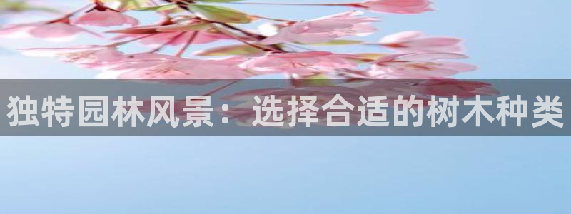 摩根娱乐宝.知道吗