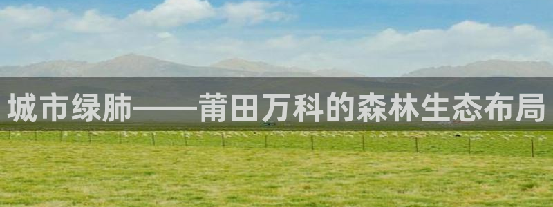 摩根兄弟进军娱乐圈