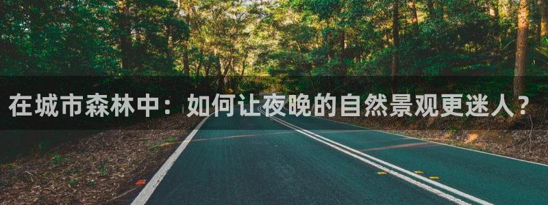 摩根娱乐宝招商
