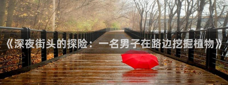 义乌摩根娱乐会所图片