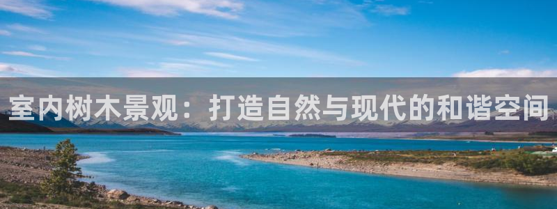 摩根娱乐总部在哪里
