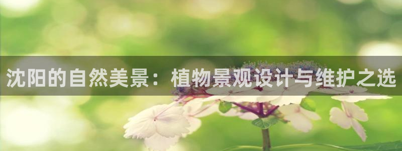 摩根娱乐50186找:沈阳的自然美景:植物景观设计与维护之选