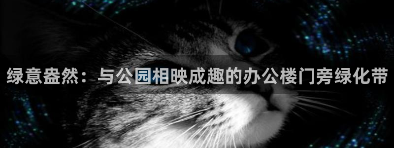 摩根娱乐宝官网