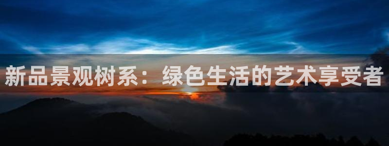 摩根娱乐宝机怎么玩