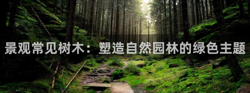 义务摩根娱乐会所电话