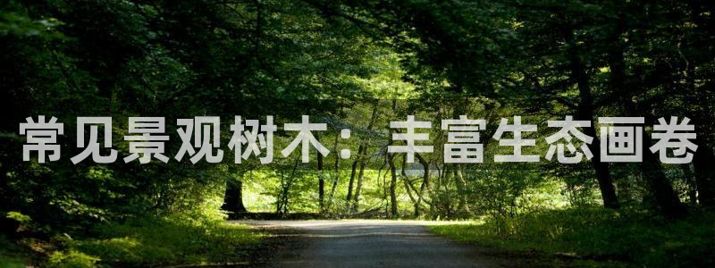 昆明滇池路摩根道娱乐