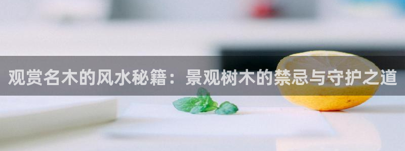 摩根娱乐开户总s管50015 15