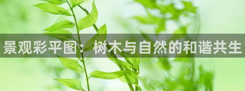摩根娱乐询问市场总监86738k