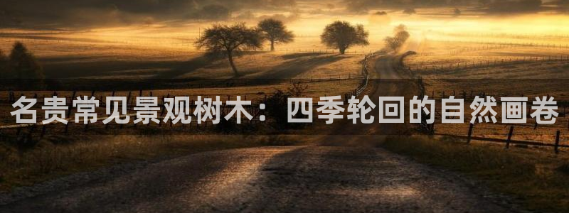摩根大通会员买金沙娱乐