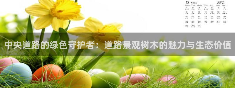 摩根大通投资娱乐公司:中央道路的绿色守护者:道路景观树木的魅力与生态价值