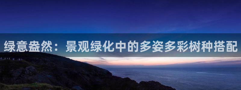 摩根娱乐↑总s管50015
