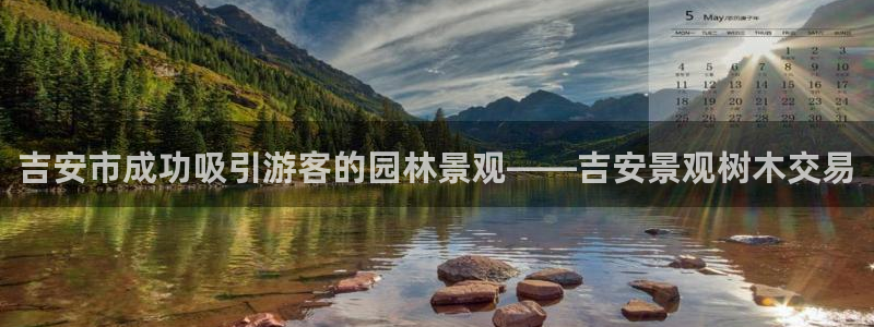 摩根娱乐50186选择